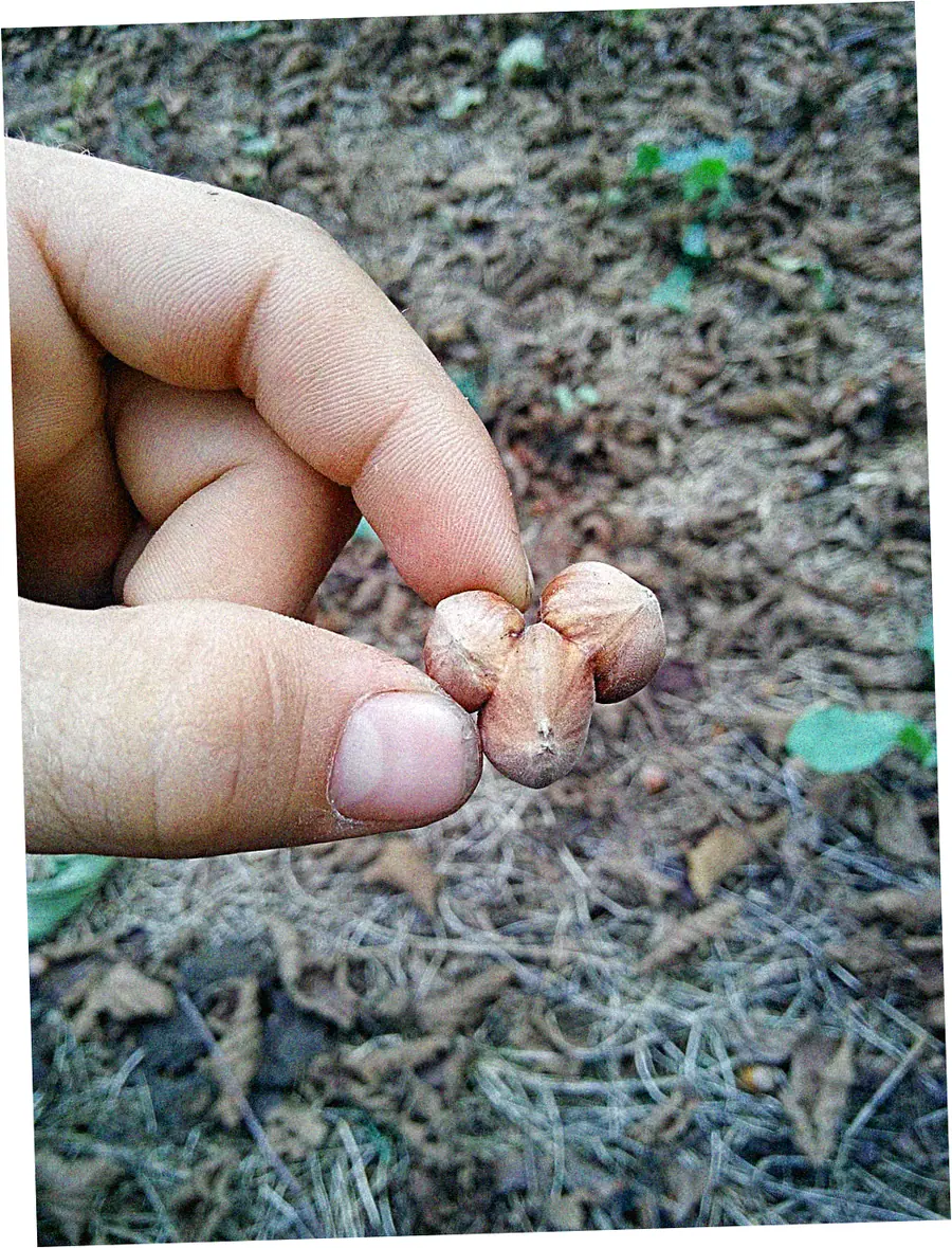 Style Pairing: MK Watches with Different Outfits