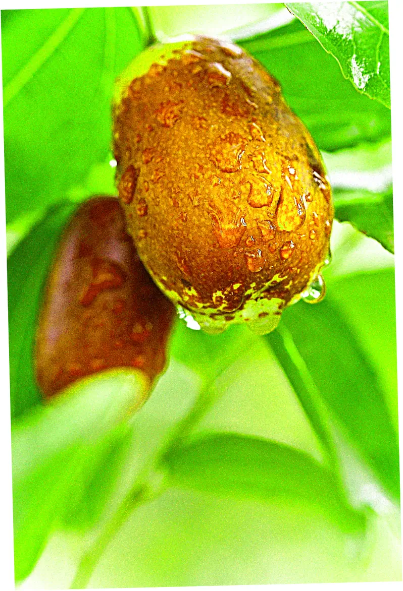 3. Movement Technology Breakdown