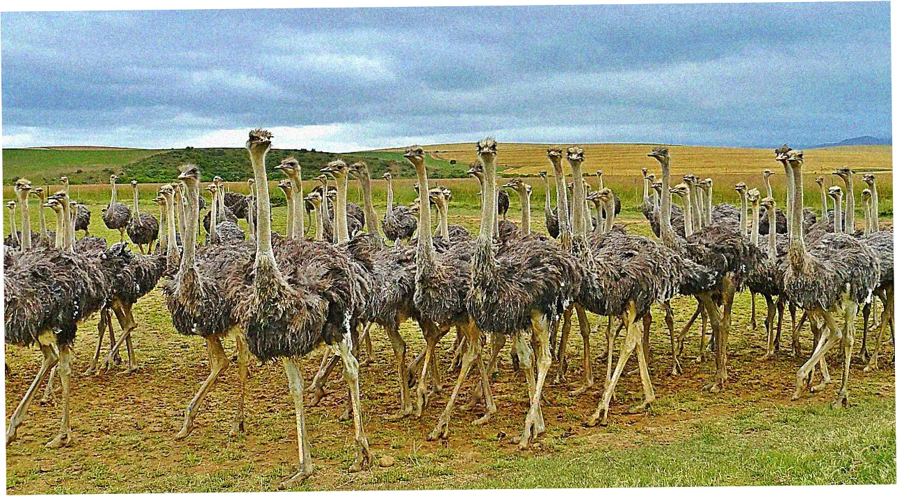 Let's check out Rolex's least expensive collections