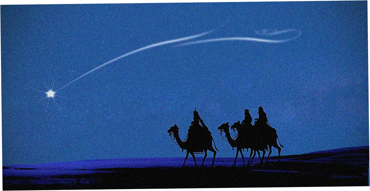 Pre-Owned Market Opportunities