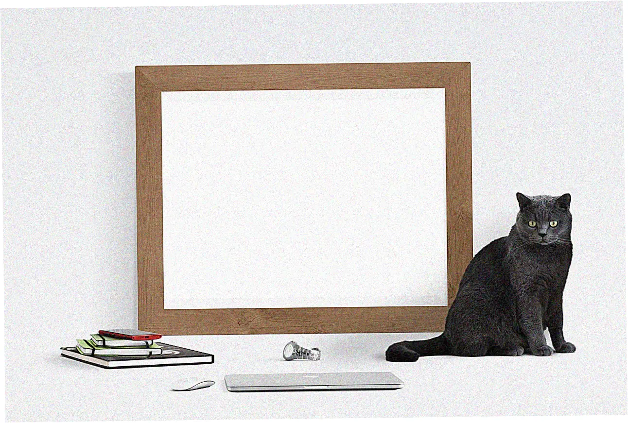 Modern Rolex Serial Number Placement