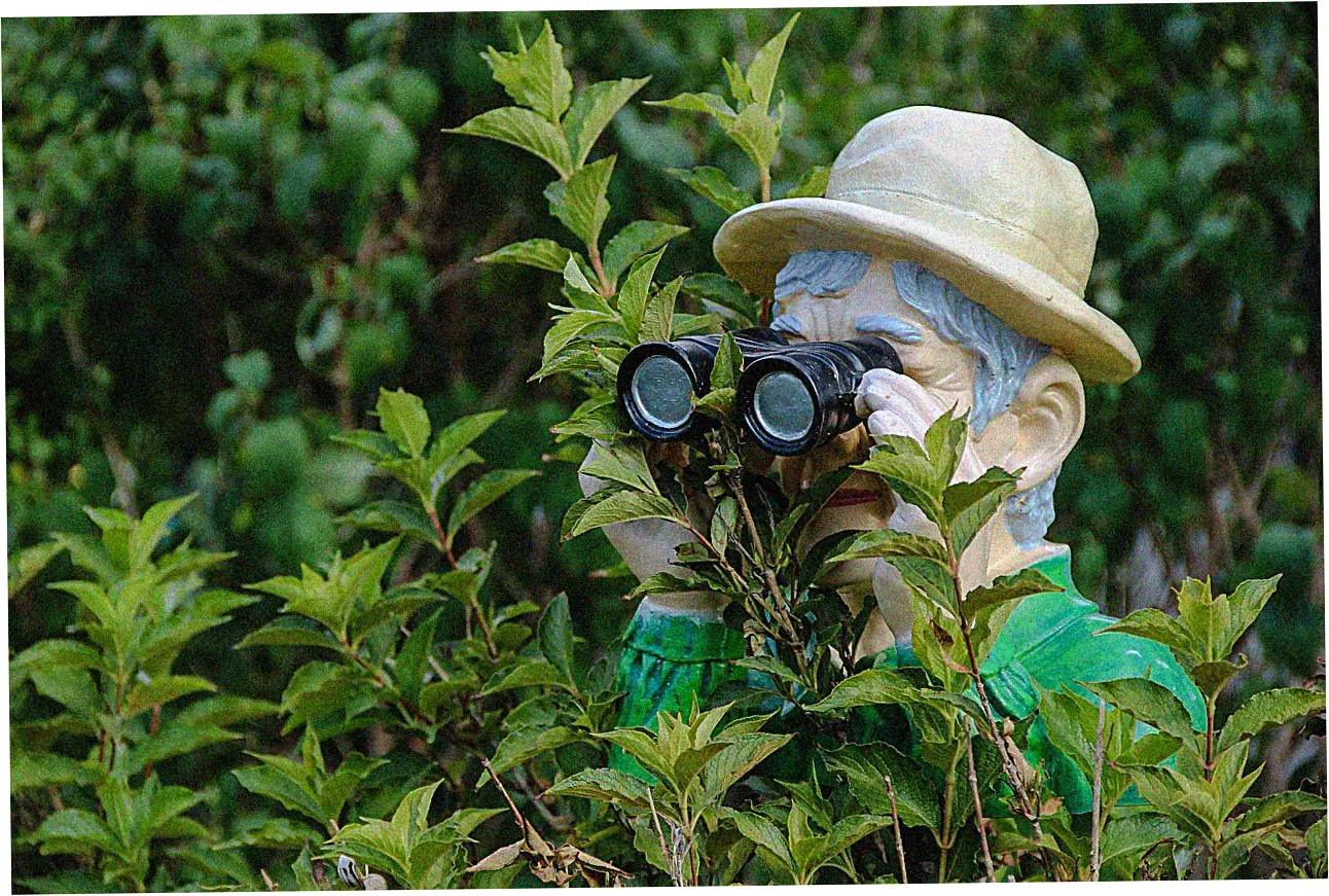 Defining Affordable Rolex: Entry-Level Models Explained