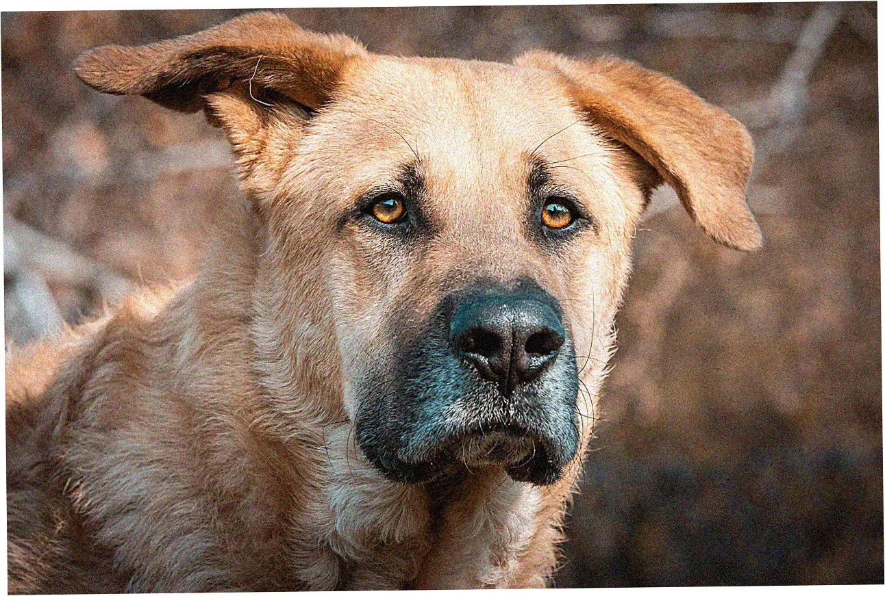 Let's talk about Rolex prices and what's happening in the market