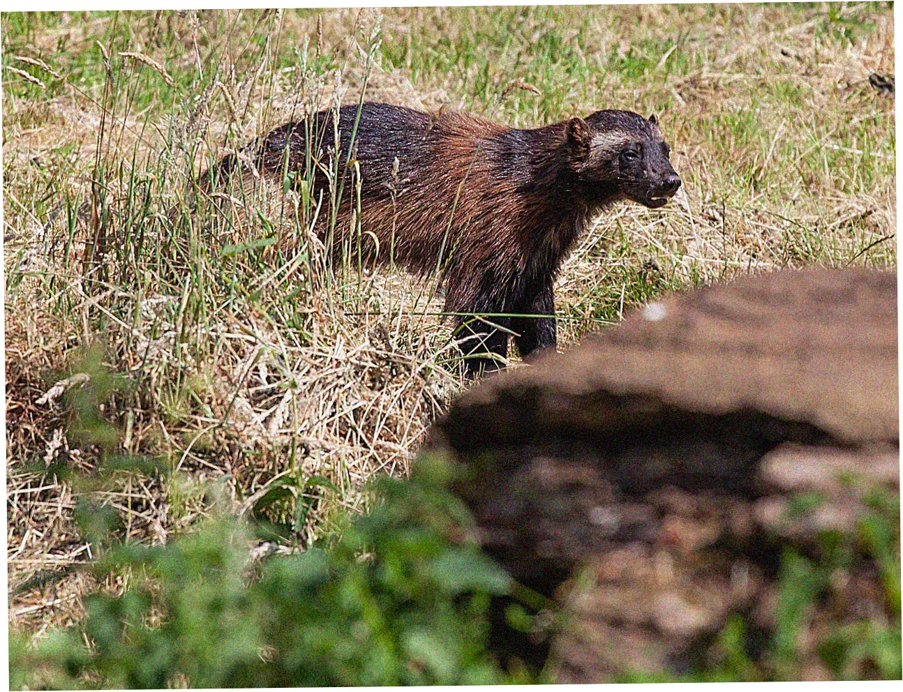 Let's talk about the legal and ethical side of things.